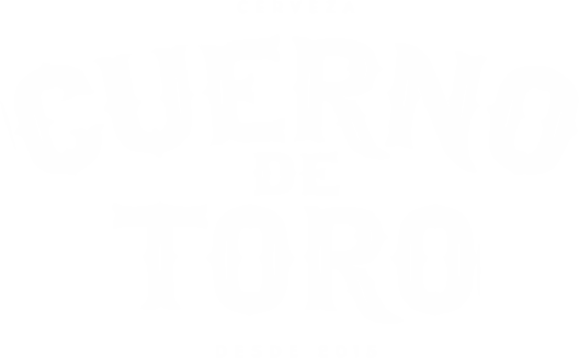 Patrocinador 13